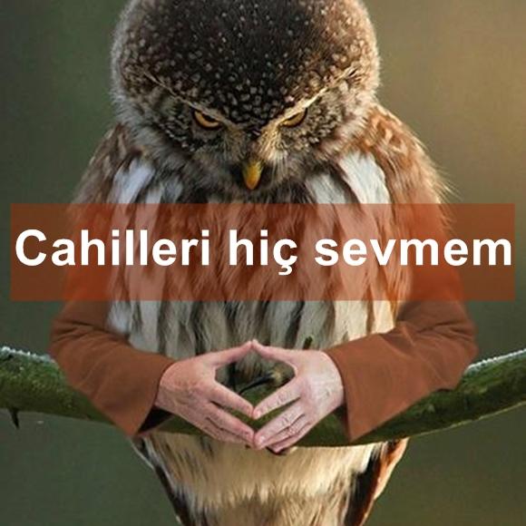 Kuşlara El Kol Takılsa Birde Üstüne Konuşturulursa Nasıl Olur!