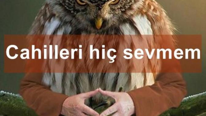 Kuşlara El Kol Takılsa Birde Üstüne Konuşturulursa Nasıl Olur!