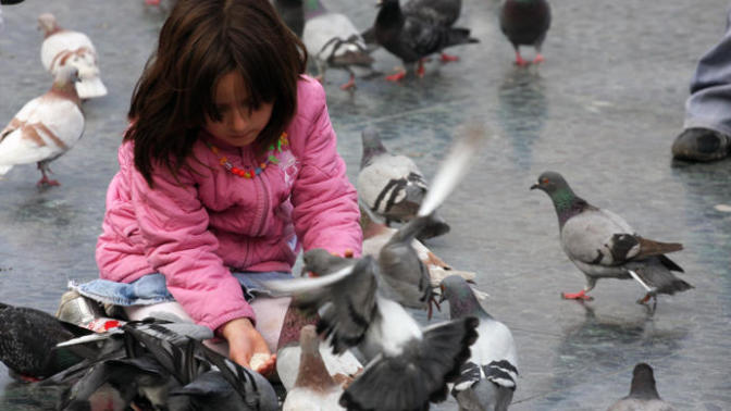 Psittakoz Hastalığının İnsan Sağlığı Açısından Önemi