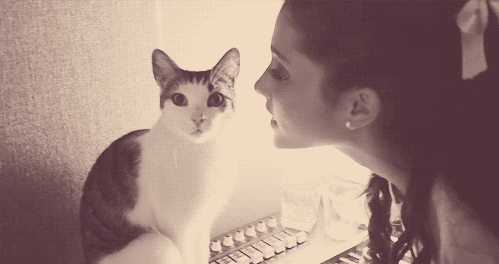 Kedi Besleyen İnsanlara Sıkıca Sarılın ve Asla Bırakmayın!