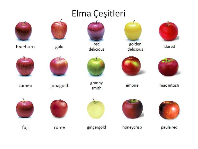 Günde 1 Elma Yemenin Sağlık İçin Mucize Faydaları