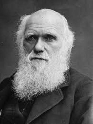 Teistler Tarafından Nefret Edilen ve Ateistler Tarafından İlahlaştırılan Charles Darwin Hakkında Çok Bilinmeyenler