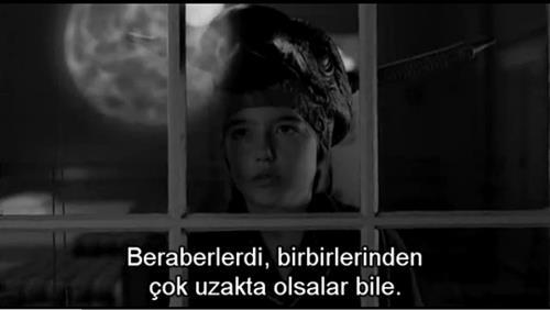 Sanal Aşk Mantığa Terstir