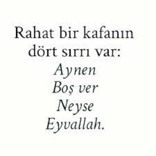 Akşam Yatmaz Sabah Kalkmaz İnsanların Genel Özellikleri