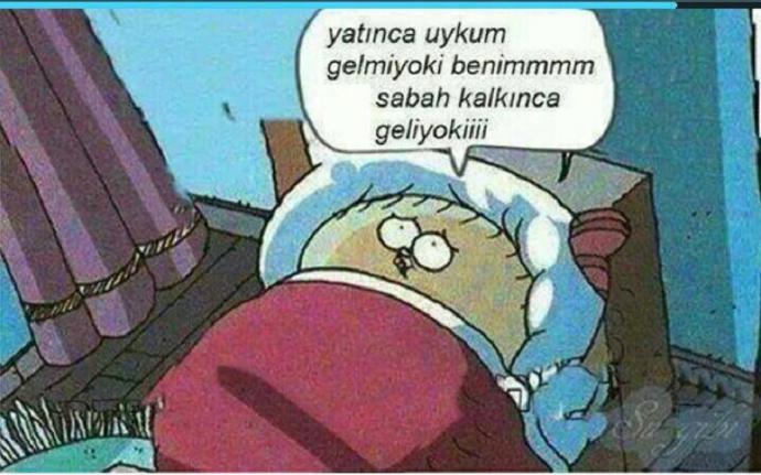 Akşam Yatmaz Sabah Kalkmaz İnsanların Genel Özellikleri