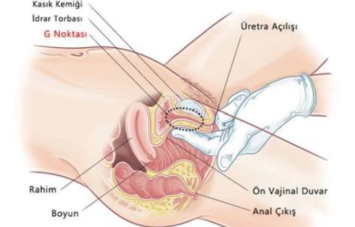 Orgazmın Doruk Noktası İçin, 3 Adımda Kadınların G Noktasını Bulmak İster misiniz?