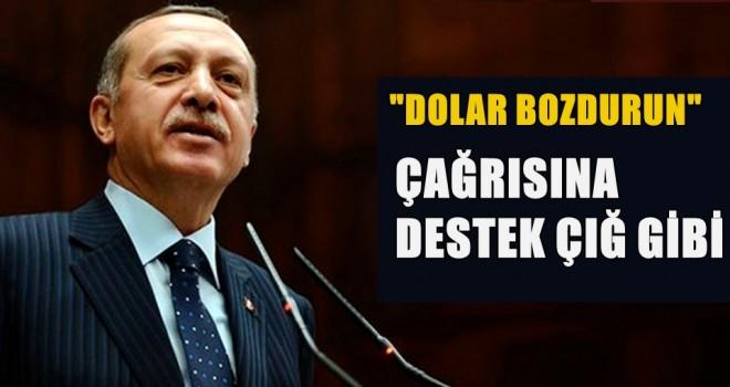 Dolarını Bozdur Sen Kazan Ülken Kazansın Kazanan Hep Biz Olalım Ülkene Sahip Çık!..