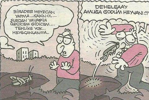 Nasıl Birisiyle Sevgili Olmak İsterdim?