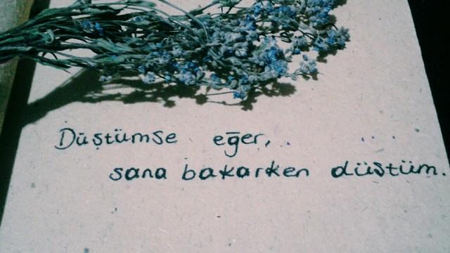 Sevmek Şiir Gibidir Küçük Hanım!