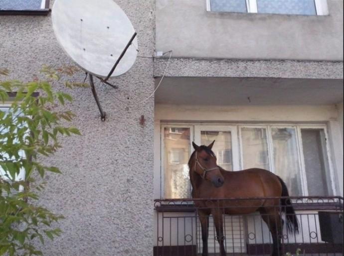Baktıkça "Yok Artık" Diyeceğiniz Absürt Fotoğraflar