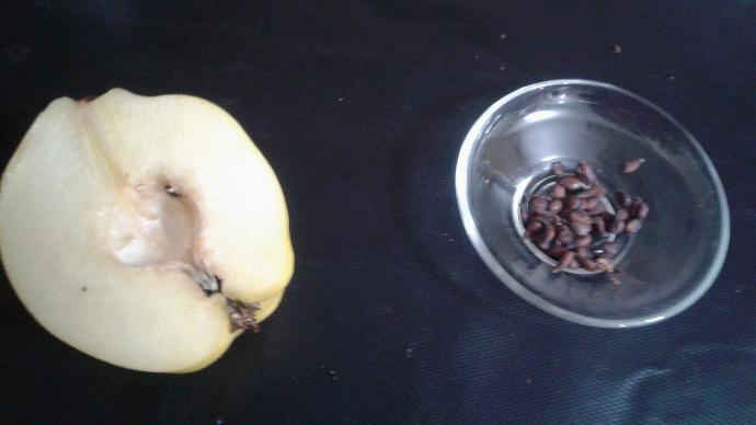 Kış Meyvesinden Gelen Güzellik: Ayva Maskesi 🍋