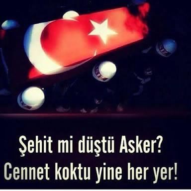Şehit mi Düştü Asker, Cennet Koktu Her Yer