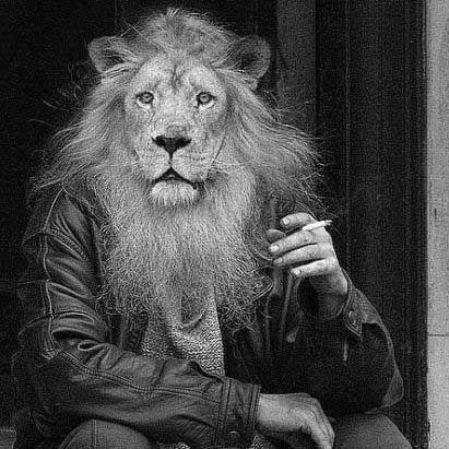 Egolu Aslan Erkeklerinin İç Gıcıklayan 7 Özelliği