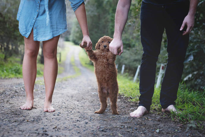 'Ne Zaman Çocuk Sahibi Olmayı Düşünüyorsunuz?' Sorusundan Bıkan Çiftin İmdadına Yetişen Sevimli Köpek Yavrusu