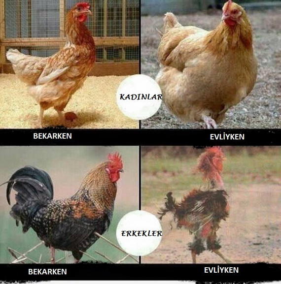 Evliliğe Dair Kadın Erkek Gerçekleri