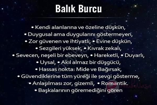 Balık Kadınları Mükemmeldir!
