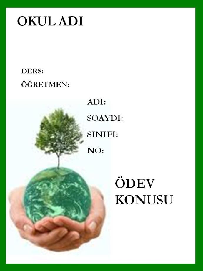 Türkiye'nin Kanayan Yarası Eğitim Sistemine, Tuz Basan Öğretmenlerin Hataları