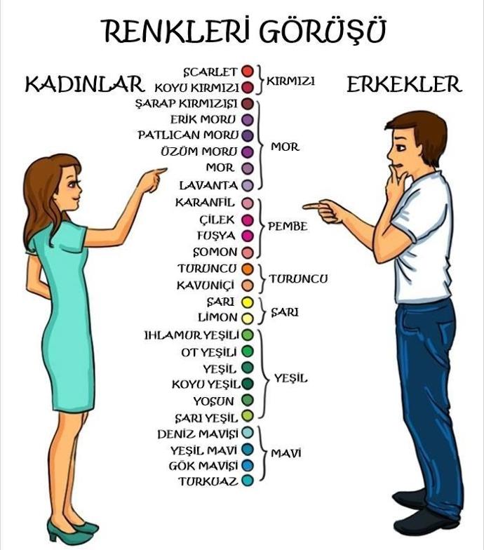 Erkekler ve Kadınların Farklarını Gösteren 11 Tespit