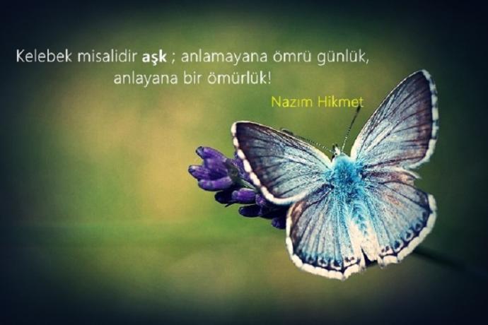 Yalnızlığın Çaresini Bulamıyoruz Yalnızlığın Nedenlerini Bularak Avutalım Kendimizi Bari