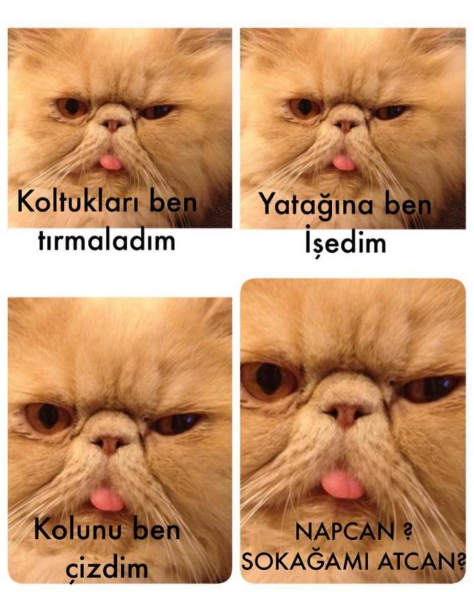 2016 Yılında Bizi Güldüren Efso Olaylar!
