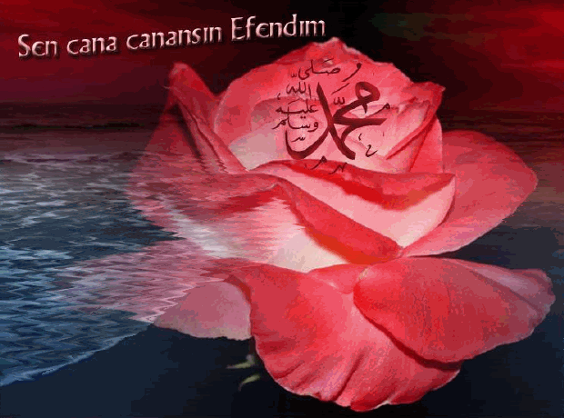 Her Şeyin Başı Sevgi