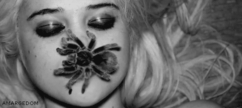 Tarantula Nedir ve Tarantulayı Seven İnsanların Kişilik Özellikleri