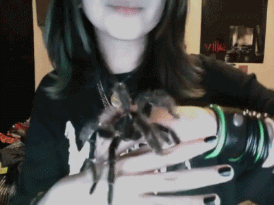 Tarantula Nedir ve Tarantulayı Seven İnsanların Kişilik Özellikleri