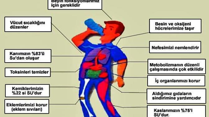 Suyun Canlılar İçin Önemi Nedir?