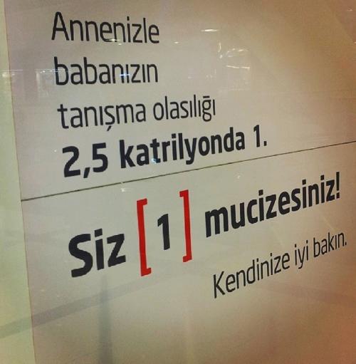 Sevip Nankörlük Görüyorsanız Boşverin Gitsin