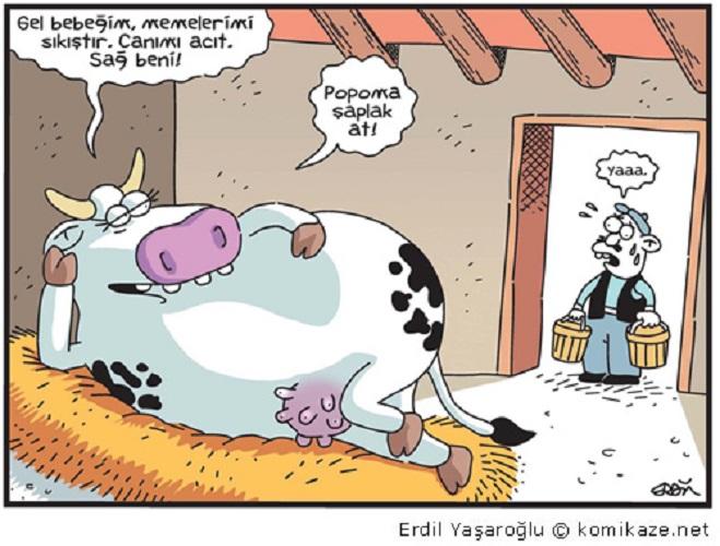 Cinsellik Kategorisinde Çok Görüş Almak İçin Tahrik Edici Şekilde Sorulmuş Soruların Perde Arkası