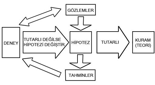 Bilimsel Bakış ve Yöntem Doğrultusunda Evrim Nedir Ne Değildir?