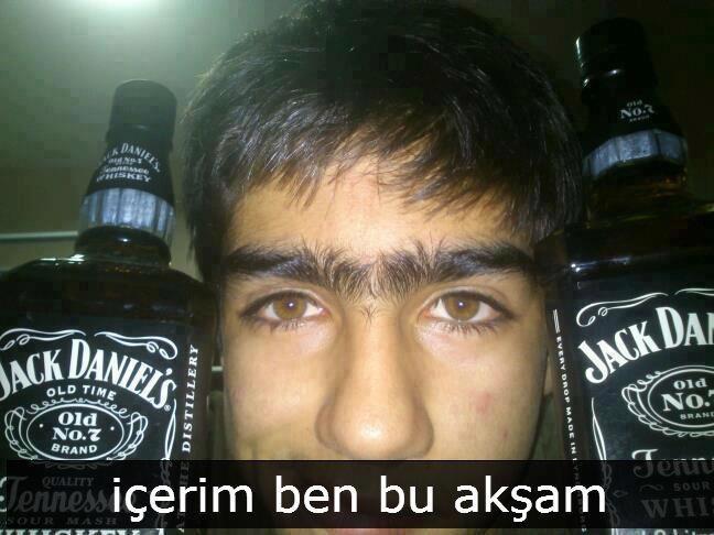 Ülkemizdeki Kekogiller