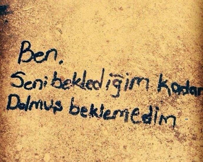 Belki Bir Dinozor Değildik Ama Biz de Tükendik be Kardeşim!
