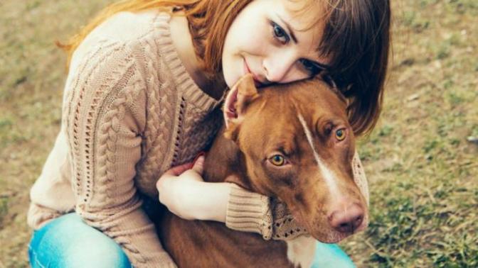 Köpek Sahibi Olanların Anlayacağı 5 Şey