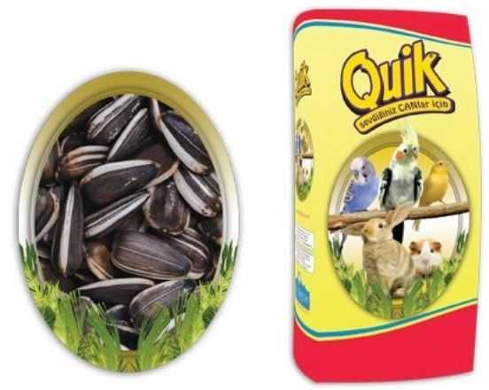En İyi Evcil Dost Sultan Papağanı Bakımı!