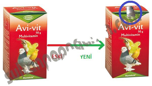 En İyi Evcil Dost Sultan Papağanı Bakımı!