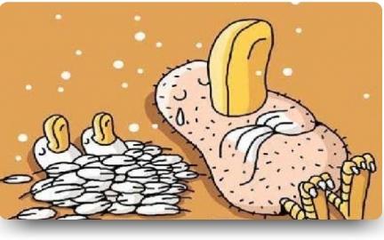 Doğuran Değil Büyütendir Anne!