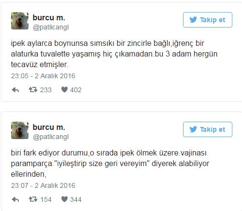 Hayvanlar Barınaklardan Alınıp Tecavüz Etmek İçin Vardır (!)