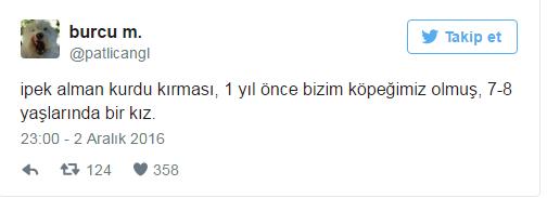 Hayvanlar Barınaklardan Alınıp Tecavüz Etmek İçin Vardır (!)