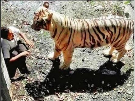 Tarihin Çekilmiş En Korkunç Fotoğrafları ve Hikayeleri