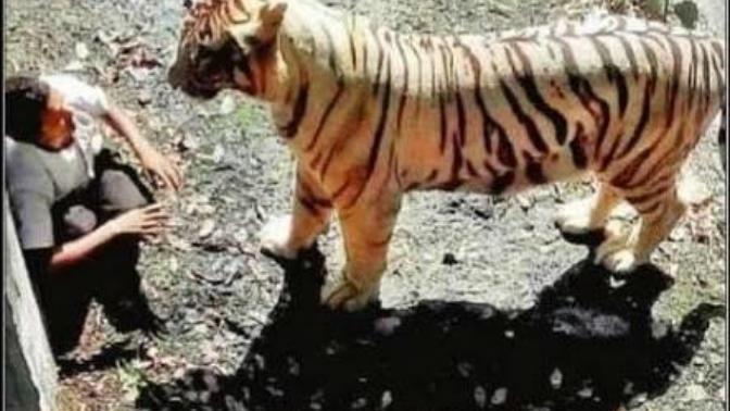 Tarihin Çekilmiş En Korkunç Fotoğrafları ve Hikayeleri
