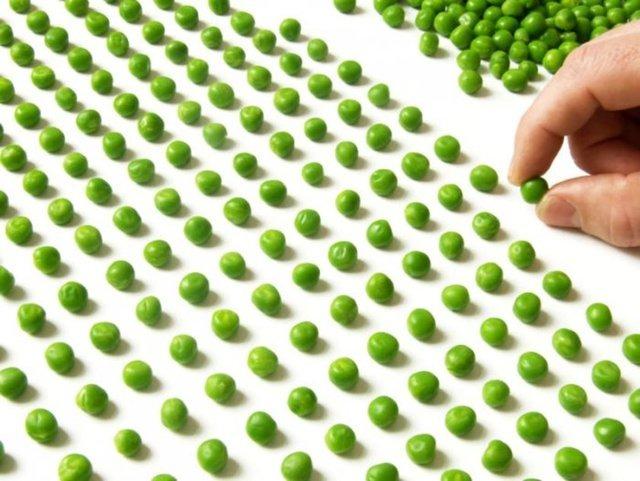 En Yaygın Rastlanan Zorlantı/Kompulsiyonlar