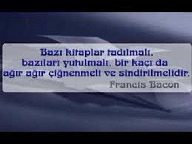 Cahilliğin Çözümü Bilgeliğin Formülü: Kitaplar