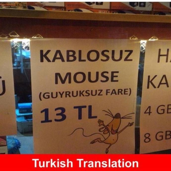 Çevirmenliğe Özenen Yurdum İnsanlarının İngilizce ile İmtihanı