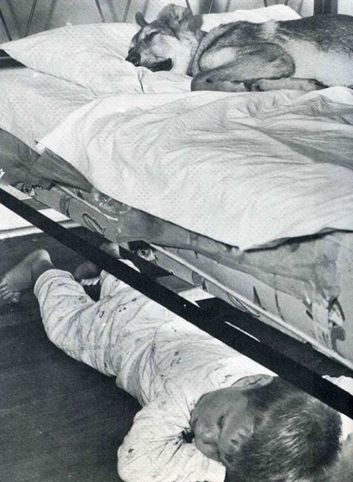 Umut ve Mutluluğu İçimize Aşılayan Fotoğraf Kareleri