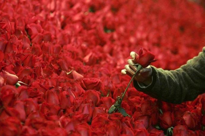 14  Şubat  Günü Sevgilinize Armağan Edeceğiniz, Hiçbir Yerde Duymadığınız En Etkileyici 'Aşk' Sözleri