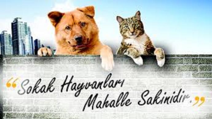 Türk Toplumunun Hayatlar Üzerindeki Etkisi ve İkiyüzlülüğü