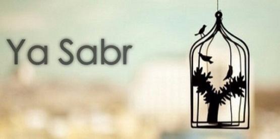 Bizi Biz Yapan, İnsan Yapan Nitelikler