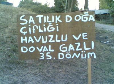 Türk Dil Kurumunun Bile Muhtemelen Yanlış Bildiği Kelimeler