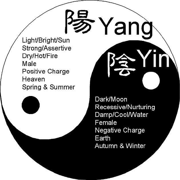 Ying Yang Felsefesi